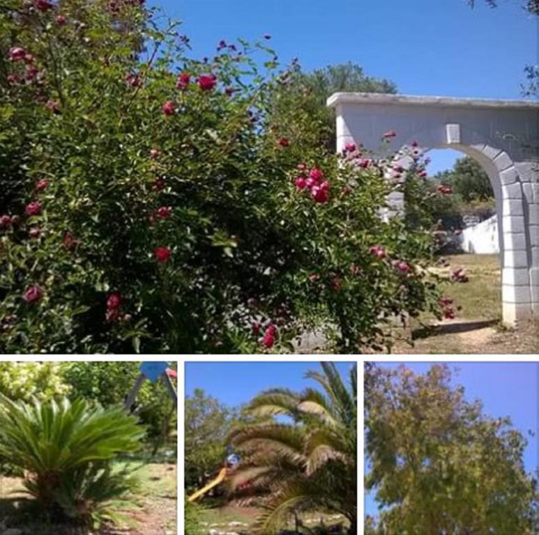 Trulli Aurasia Ostuni Exteriör bild