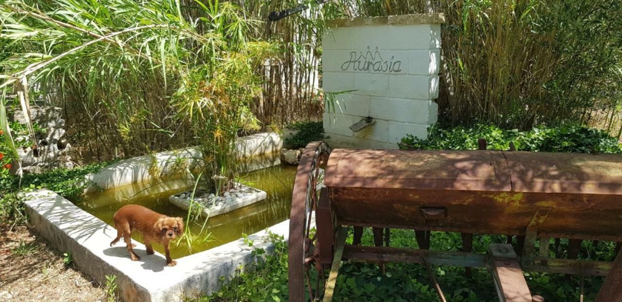 Trulli Aurasia Ostuni Exteriör bild